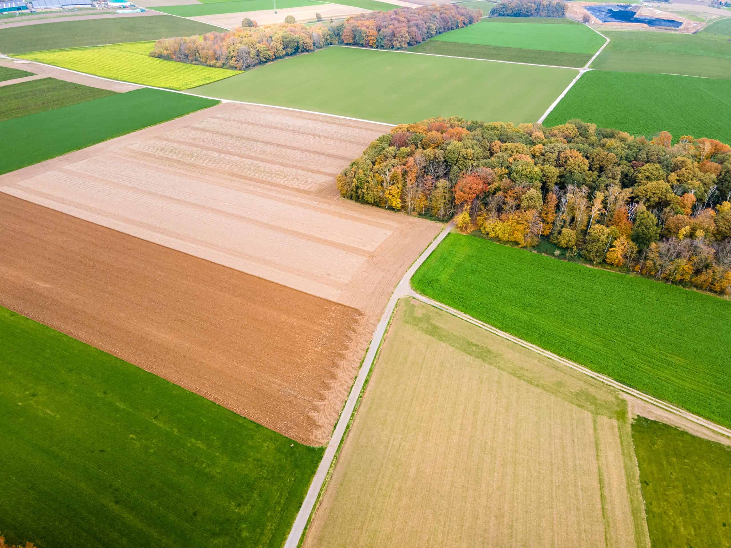 VAT, Stamp Duty, and Tax Considerations in Land Financing: The Ultimate Guide for Savvy Investors